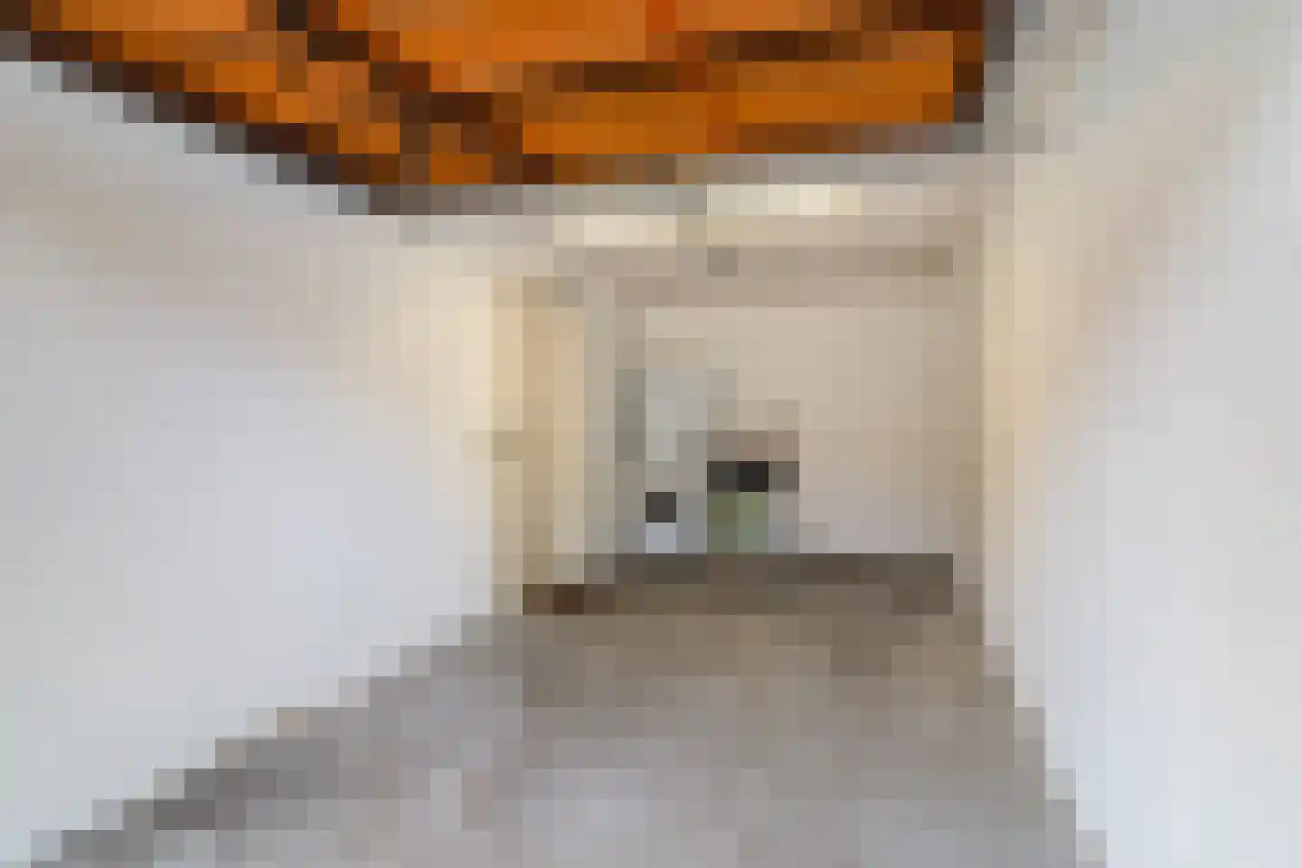 Truus Schröderhof 4 Voorburg thumbnail 38