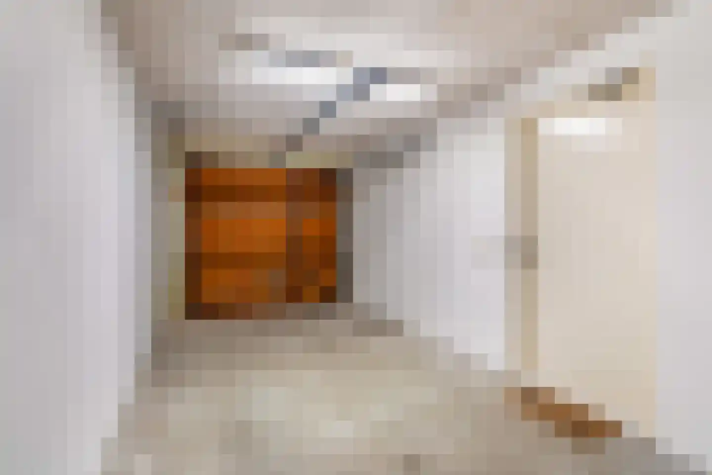 Truus Schröderhof 4 Voorburg thumbnail 39