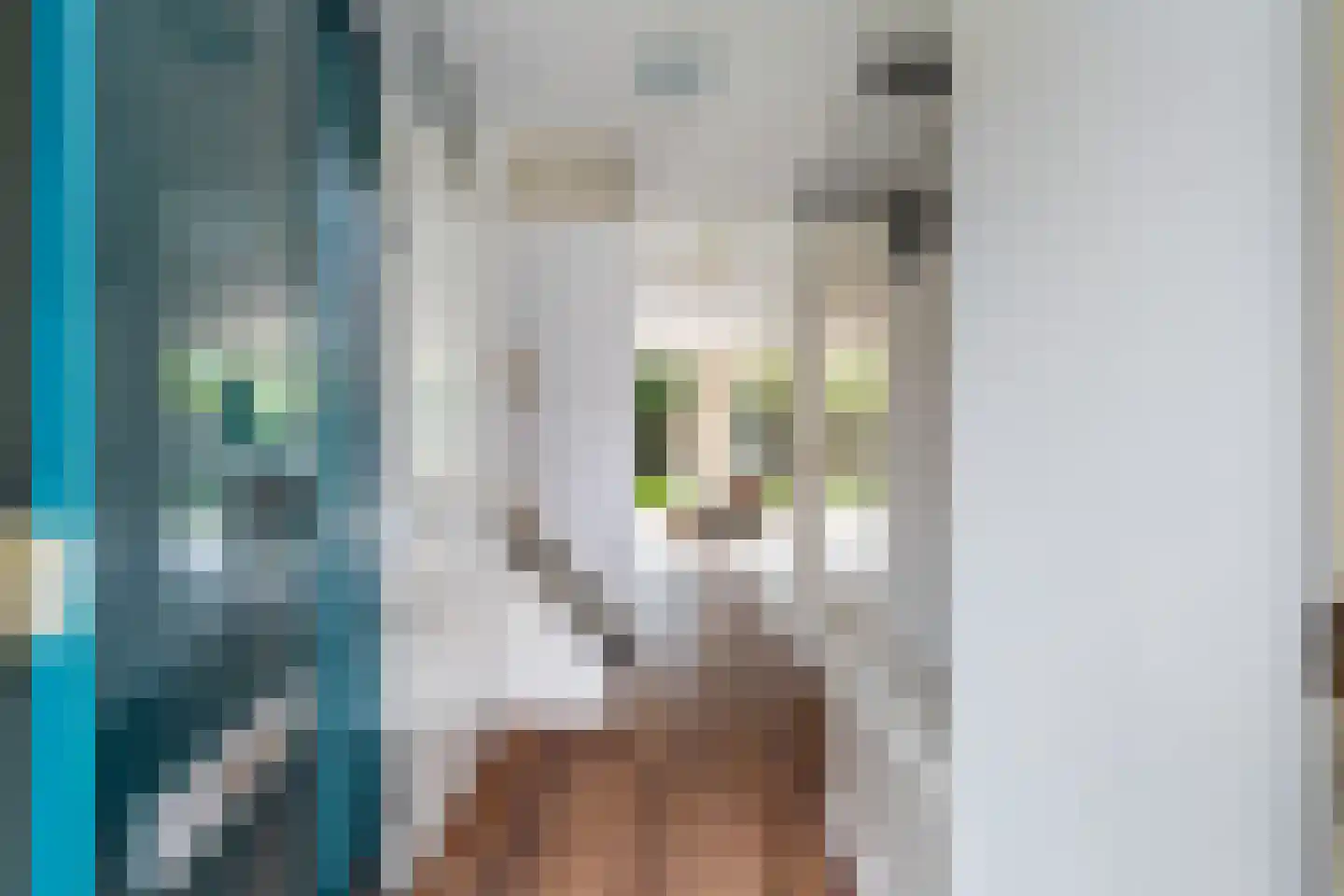 Truus Schröderhof 4 Voorburg thumbnail 4