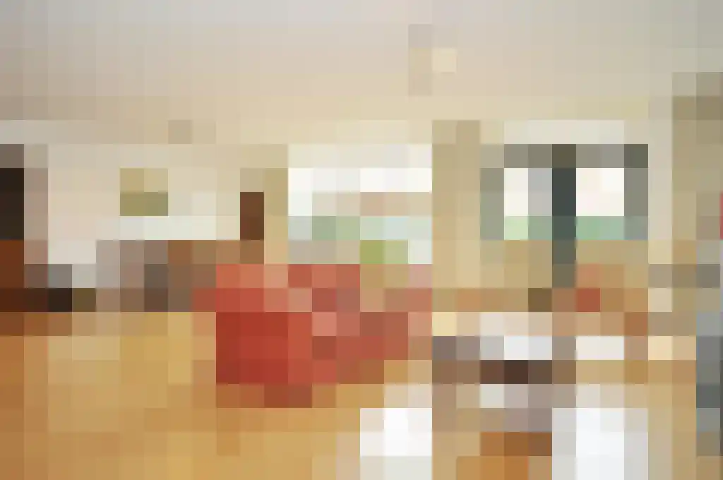 Truus Schröderhof 4 Voorburg thumbnail 4