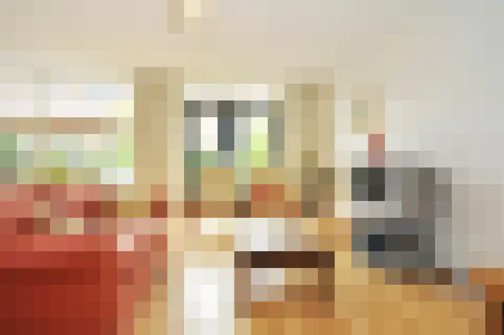Truus Schröderhof 4 Voorburg thumbnail 5