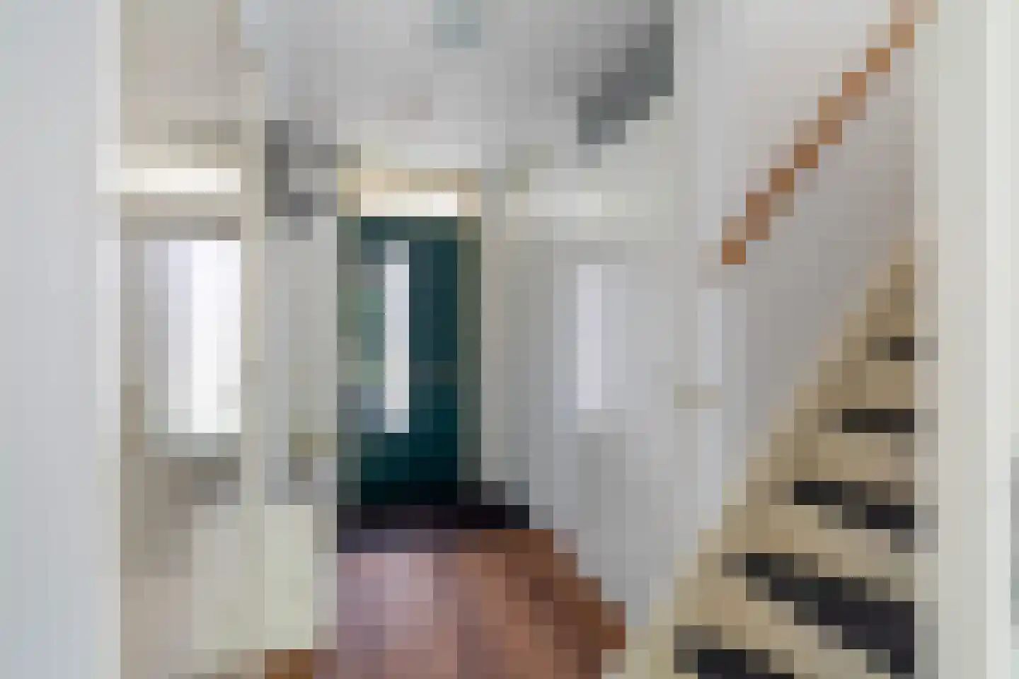 Truus Schröderhof 4 Voorburg thumbnail 5