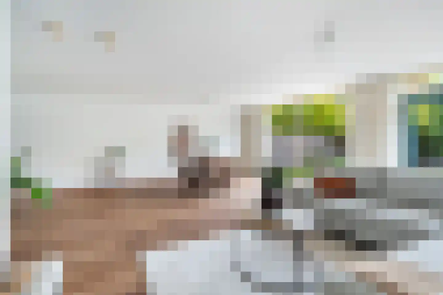 Truus Schröderhof 4 Voorburg thumbnail 7