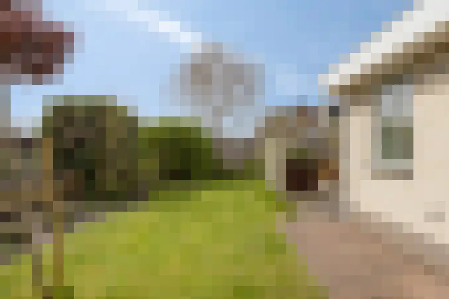Truus Schröderplantsoen 34 Heerhugowaard thumbnail 37