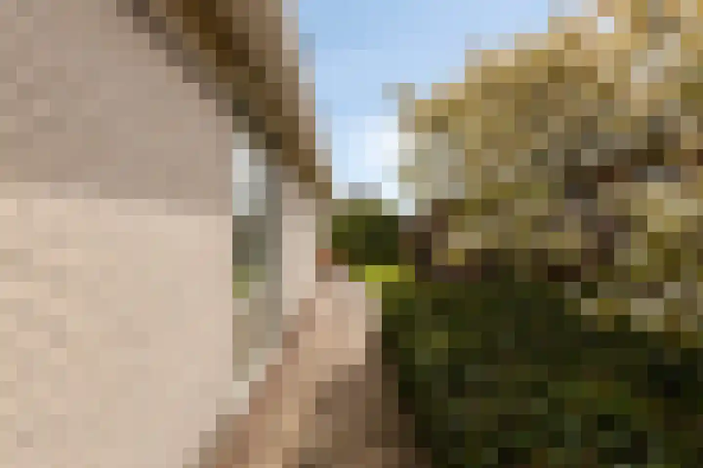 Truus Schröderplantsoen 34 Heerhugowaard thumbnail 41