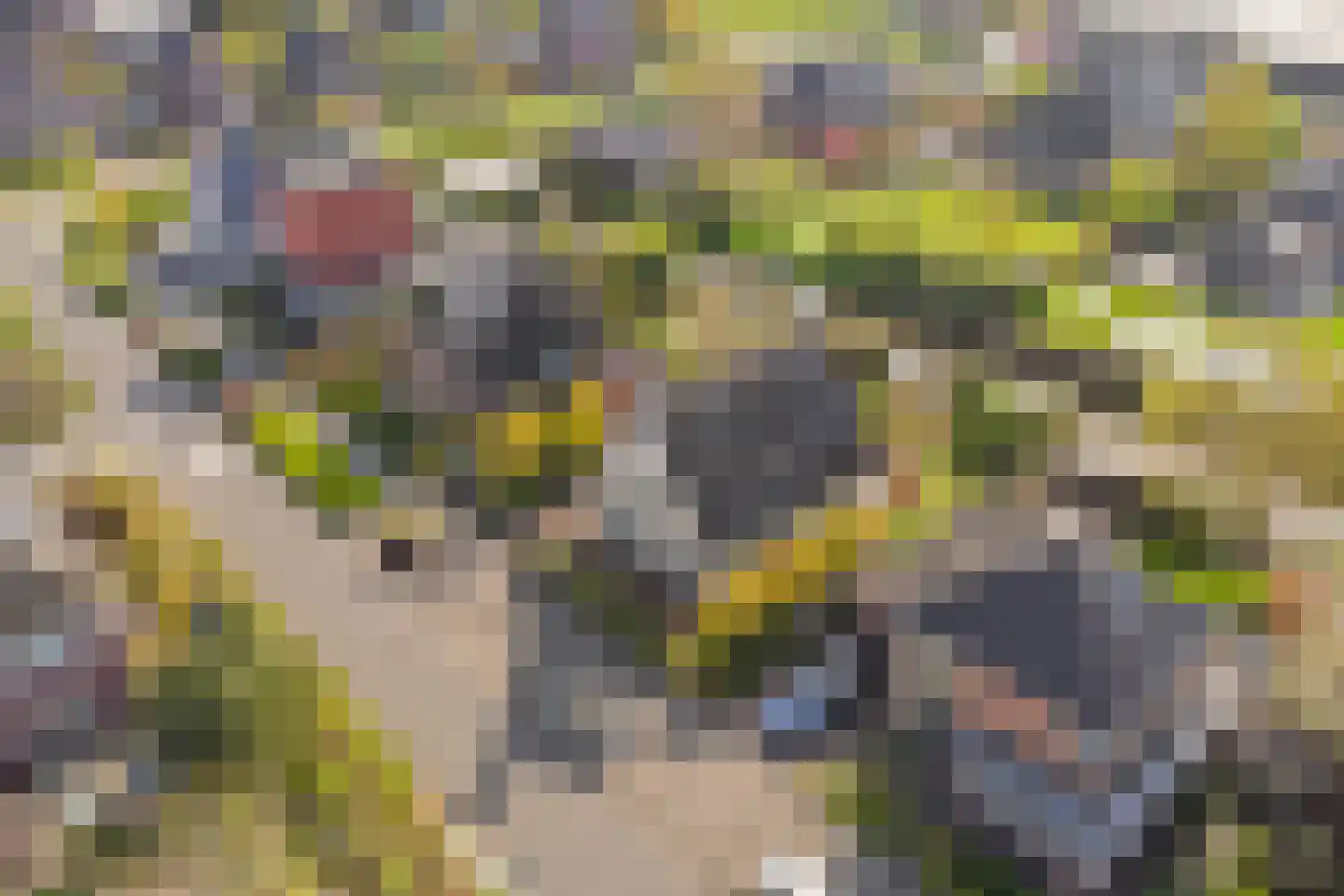 Truus Schröderplantsoen 34 Heerhugowaard thumbnail 45