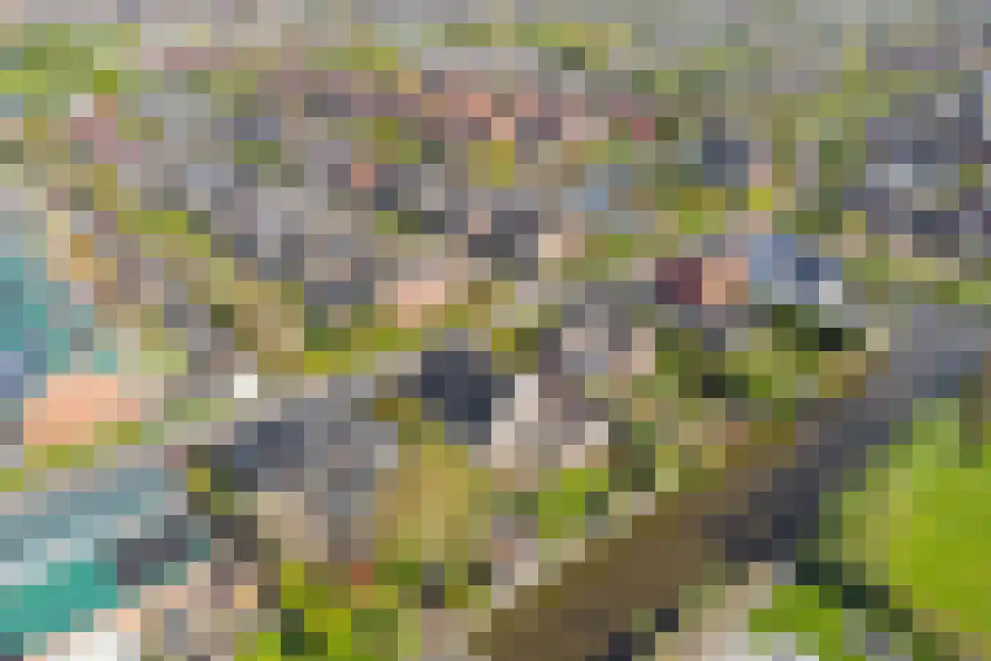 Truus Schröderplantsoen 34 Heerhugowaard thumbnail 48
