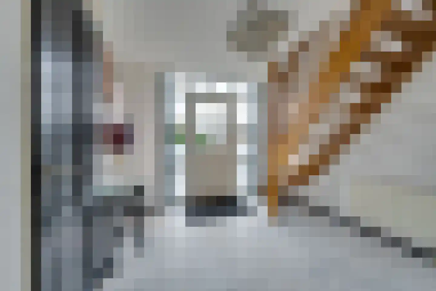 Truus Schröderplantsoen 40 Heerhugowaard thumbnail 8