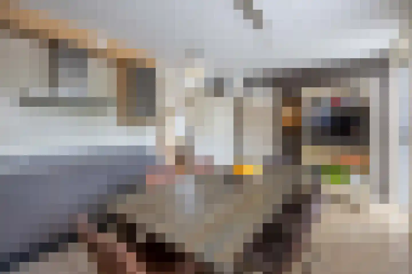 Truus Schröderstraat 10 Venray thumbnail 13
