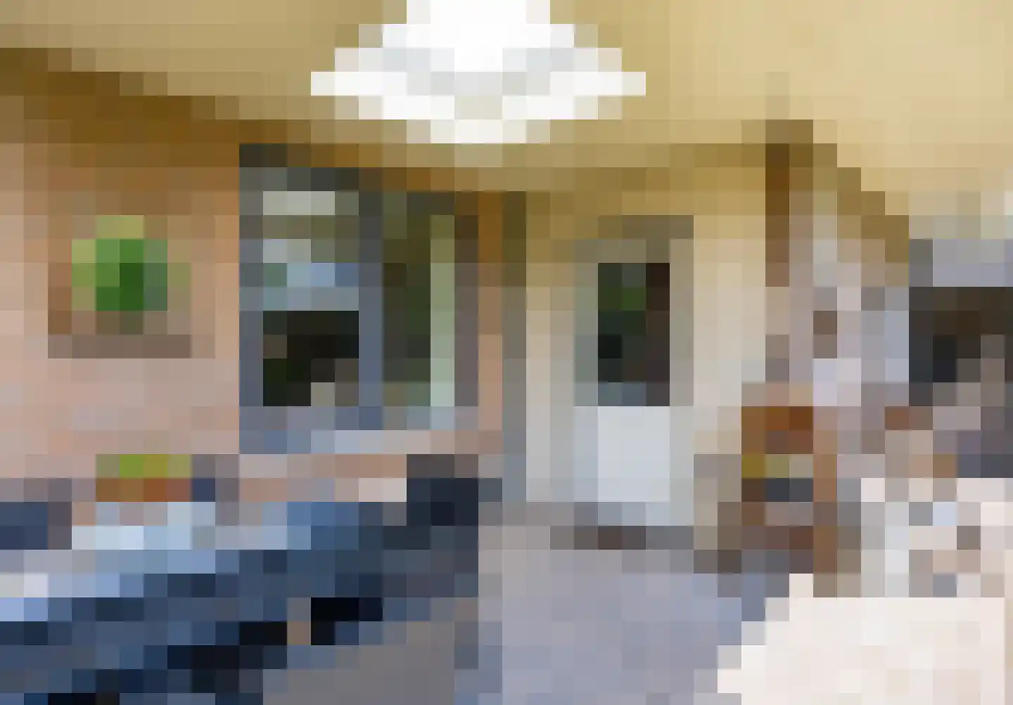 Truus Schröderstraat 10 Venray thumbnail 31
