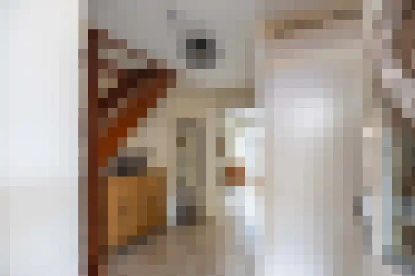 Truus Schröderstraat 10 Venray thumbnail 6