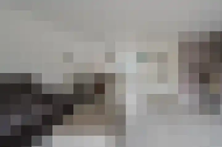 Truus Schröderstraat 5 Spijkenisse thumbnail 14