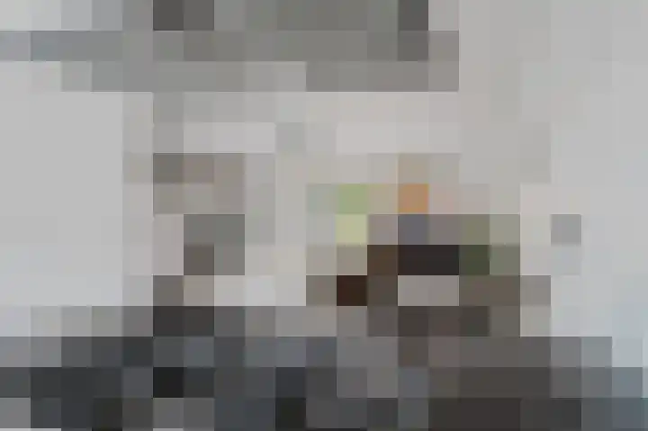 Truus Schröderstraat 5 Spijkenisse thumbnail 15