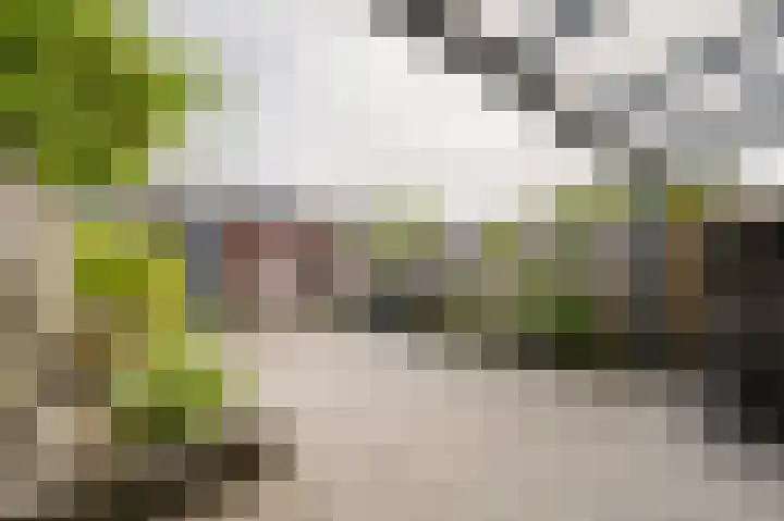 Truus Schröderstraat 5 Spijkenisse thumbnail 18