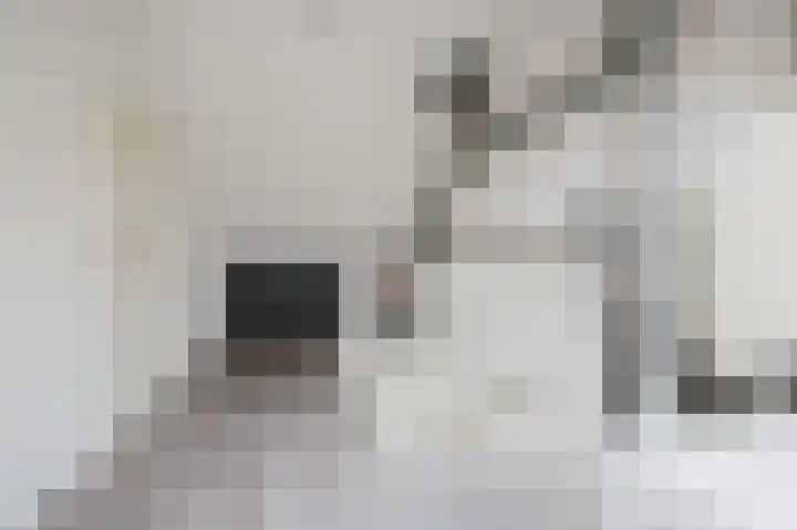 Truus Schröderstraat 5 Spijkenisse thumbnail 27