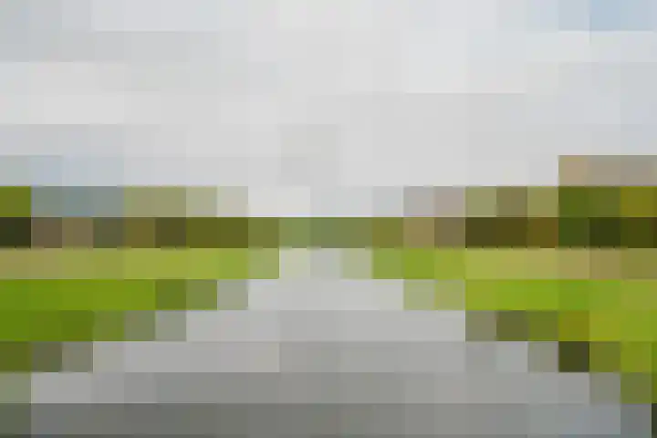 Truus Schröderstraat 5 Spijkenisse thumbnail 30