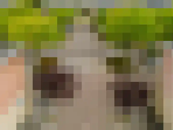 Truus Schröderstraat 5 Spijkenisse thumbnail 7