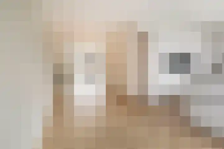 Truus van Kuijkwarande 14 Veenendaal thumbnail 10