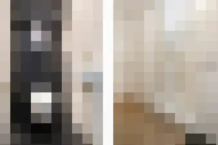Truus van Kuijkwarande 14 Veenendaal thumbnail 14