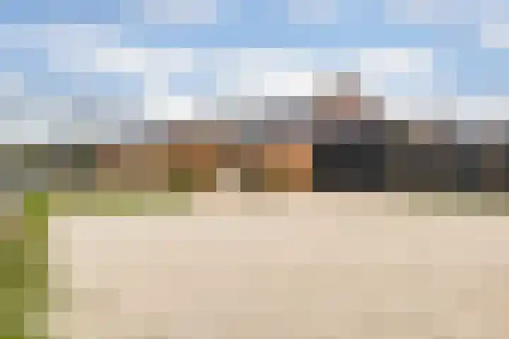 Truus van Kuijkwarande 14 Veenendaal thumbnail 26