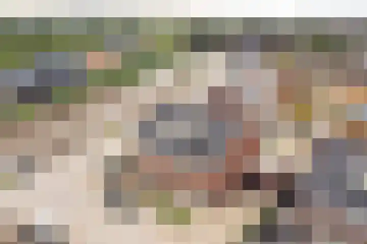 Truus van Kuijkwarande 14 Veenendaal thumbnail 33