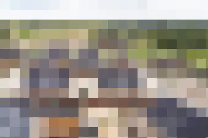 Truus van Kuijkwarande 14 Veenendaal thumbnail 34