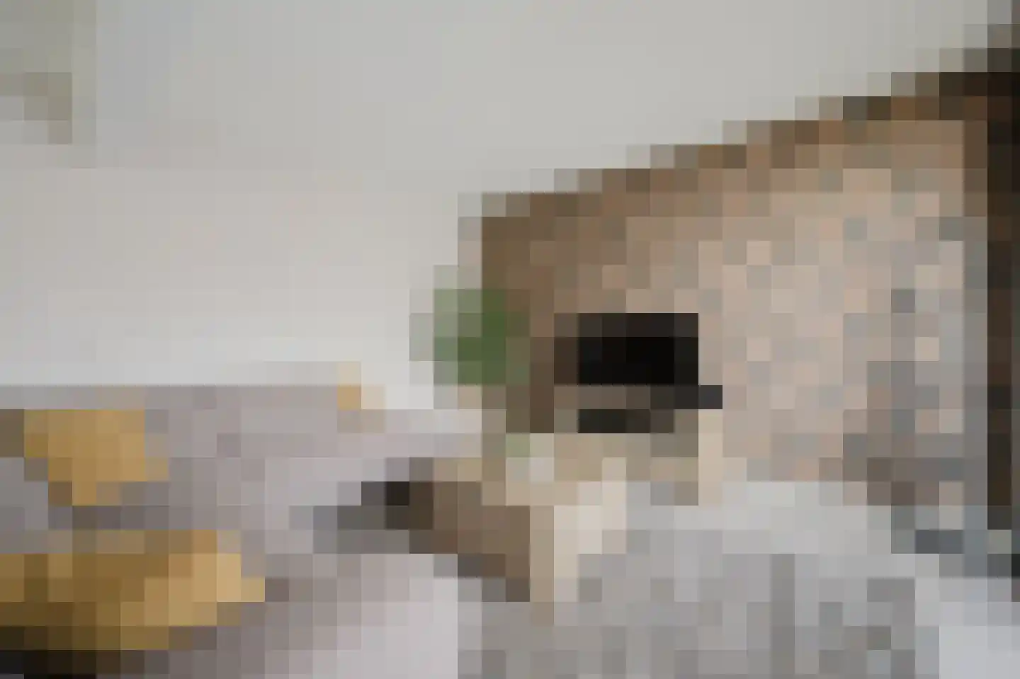 Truus Wijsmuller-Meijerpad 3 Spijkenisse thumbnail 13