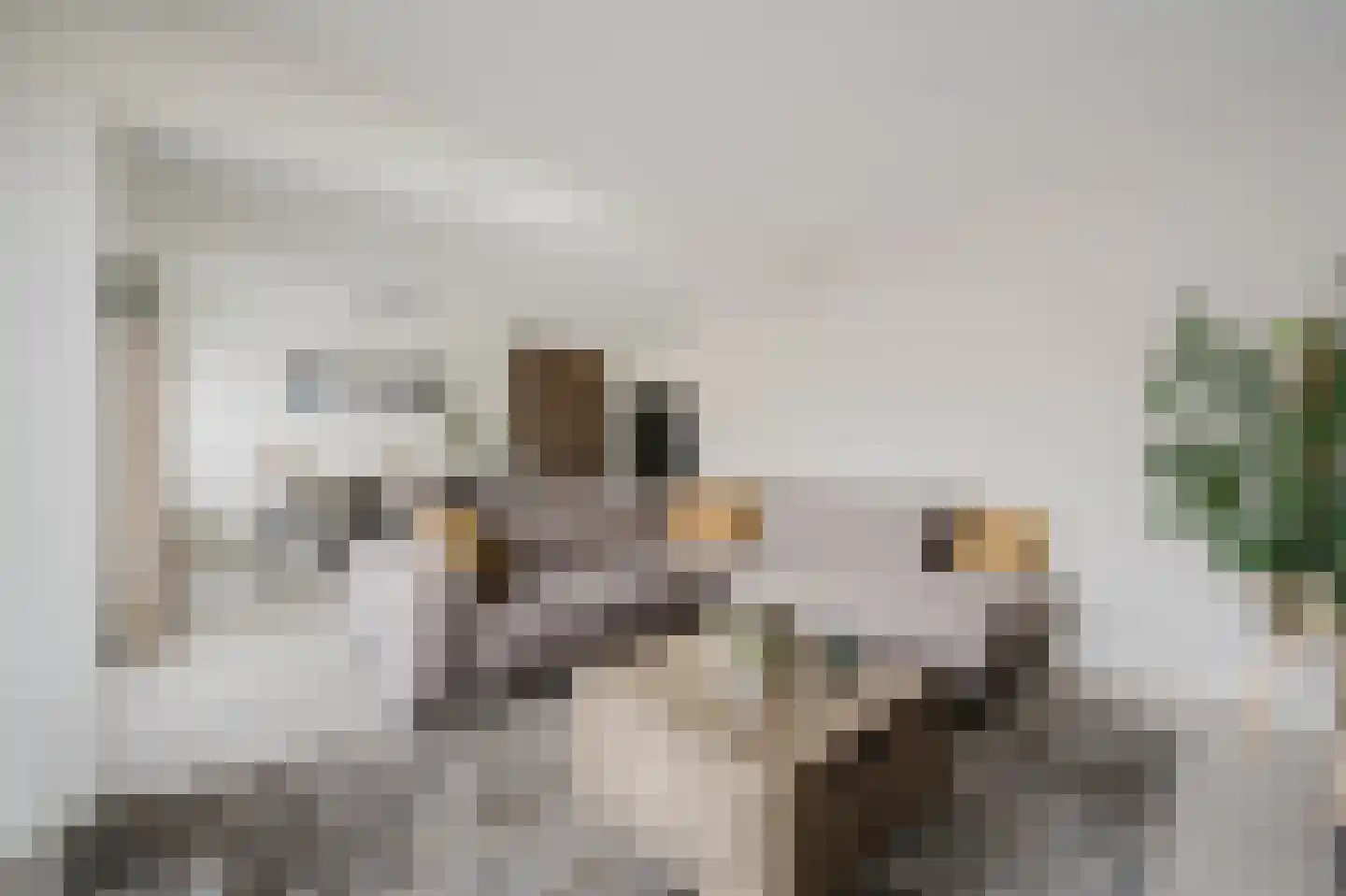 Truus Wijsmuller-Meijerpad 3 Spijkenisse thumbnail 14