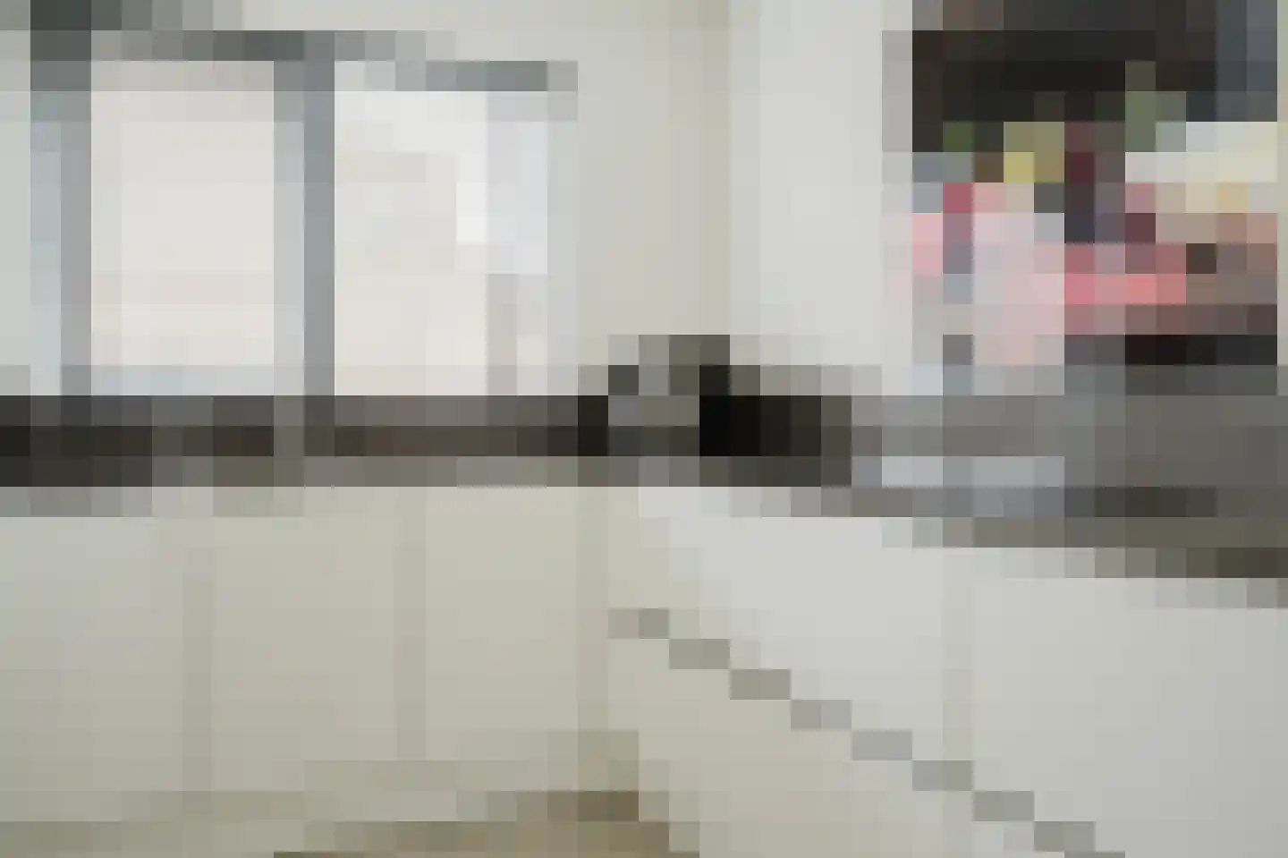 Truus Wijsmuller-Meijerpad 3 Spijkenisse thumbnail 16