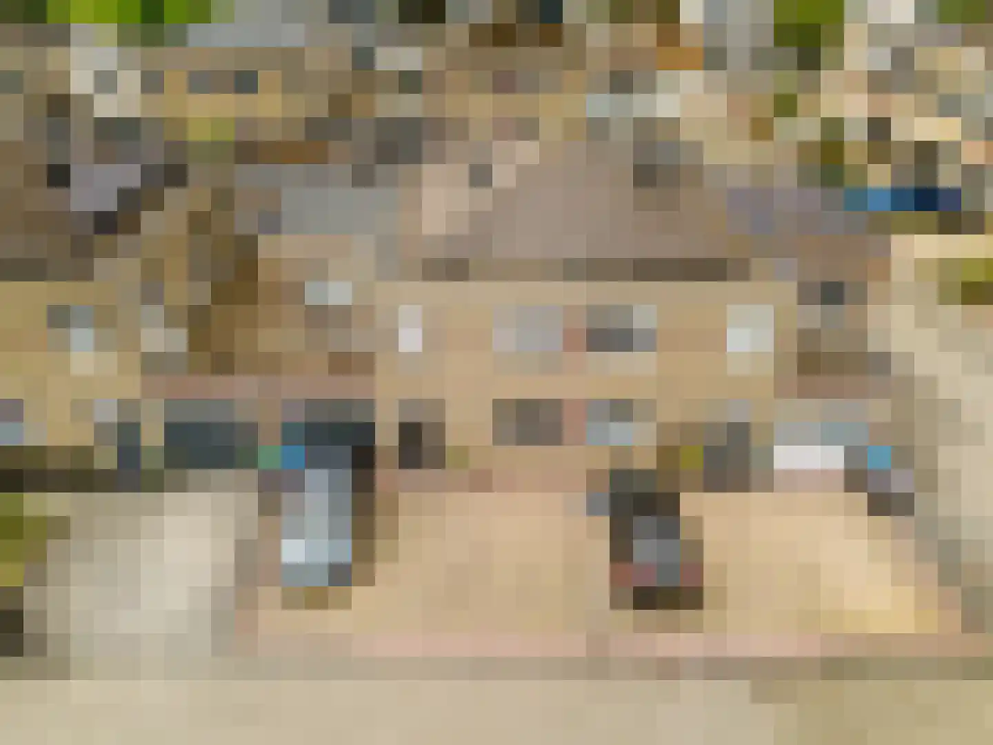 Truus Wijsmuller-Meijerpad 3 Spijkenisse thumbnail 7
