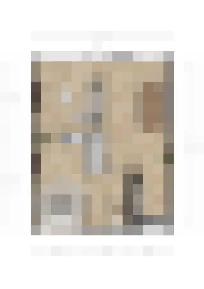 Truus Wijsmuller-Meijerpad 3 Spijkenisse thumbnail 9