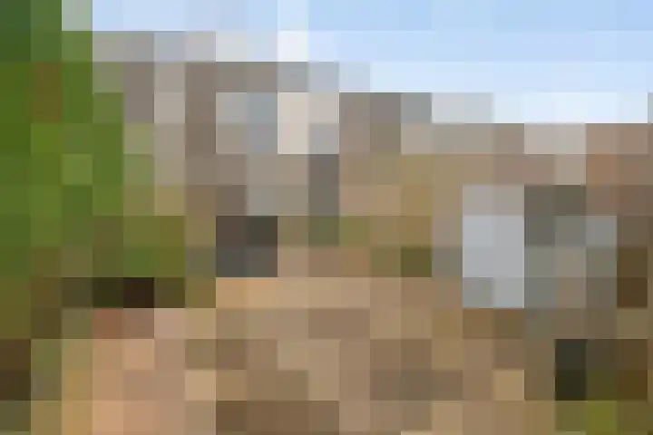 Truus Wijsmullerpad 3 Leiden thumbnail 12
