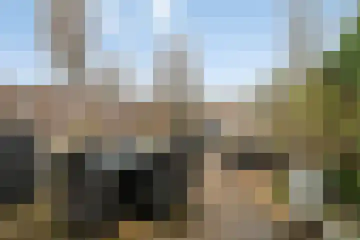 Truus Wijsmullerpad 3 Leiden thumbnail 13