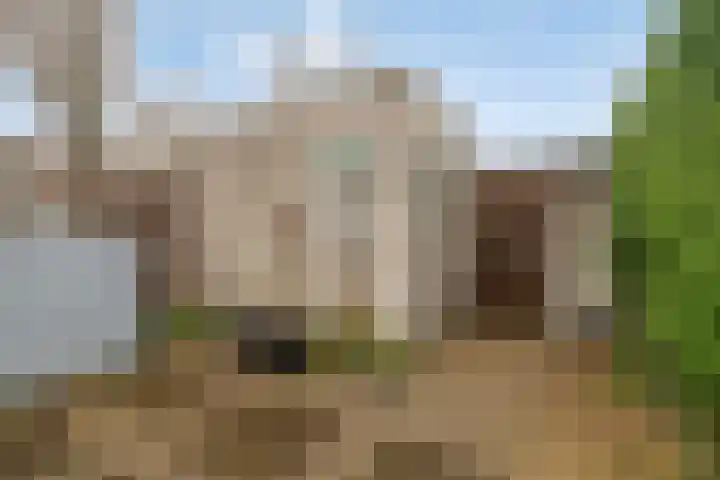 Truus Wijsmullerpad 3 Leiden thumbnail 15