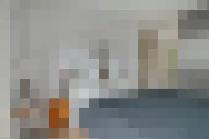 Truus Wijsmullerpad 3 Leiden thumbnail 19