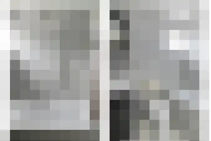 Truus Wijsmullerpad 3 Leiden thumbnail 20