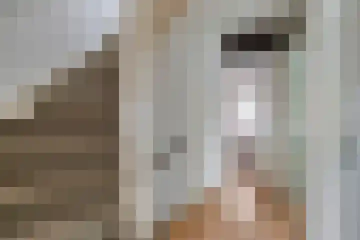 Truus Wijsmullerpad 3 Leiden thumbnail 24