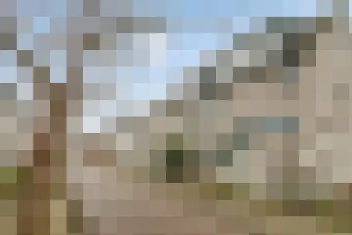 Truus Wijsmullerpad 3 Leiden thumbnail 29