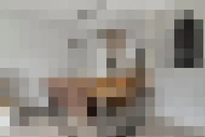 Truus Wijsmullerpad 3 Leiden thumbnail 7