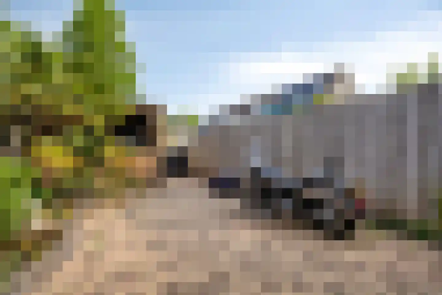 Truus Wijsmullerpad 7 Leiden thumbnail 11