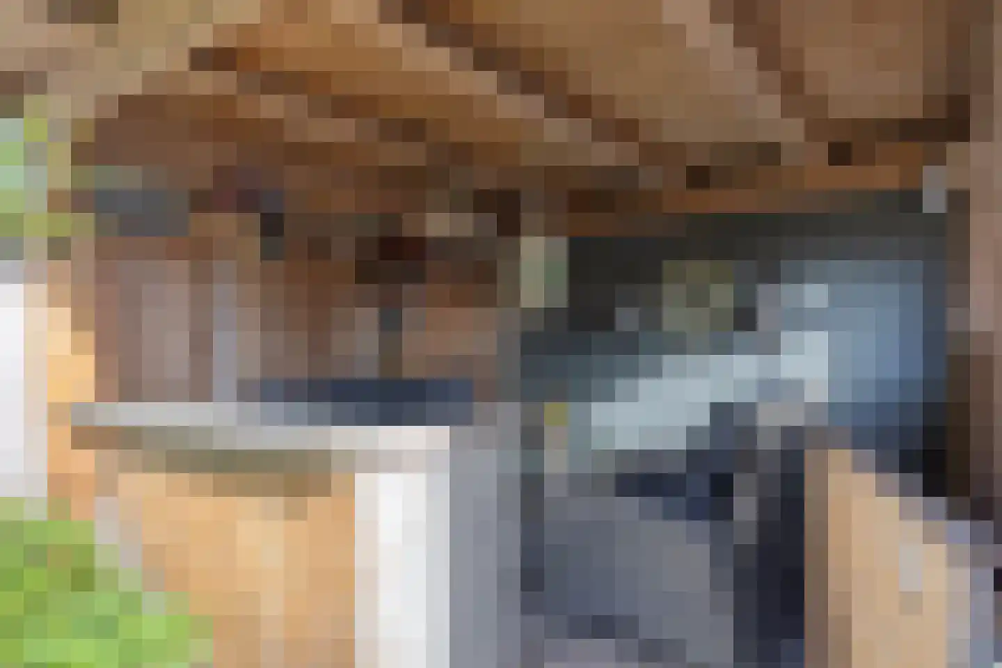 Truus Wijsmullerpad 7 Leiden thumbnail 12