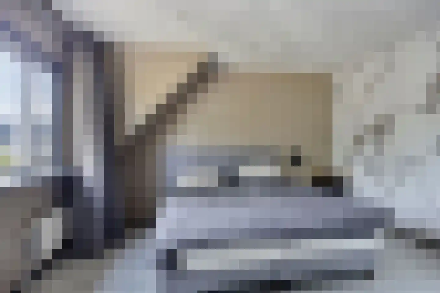 Truus Wijsmullerpad 7 Leiden thumbnail 16