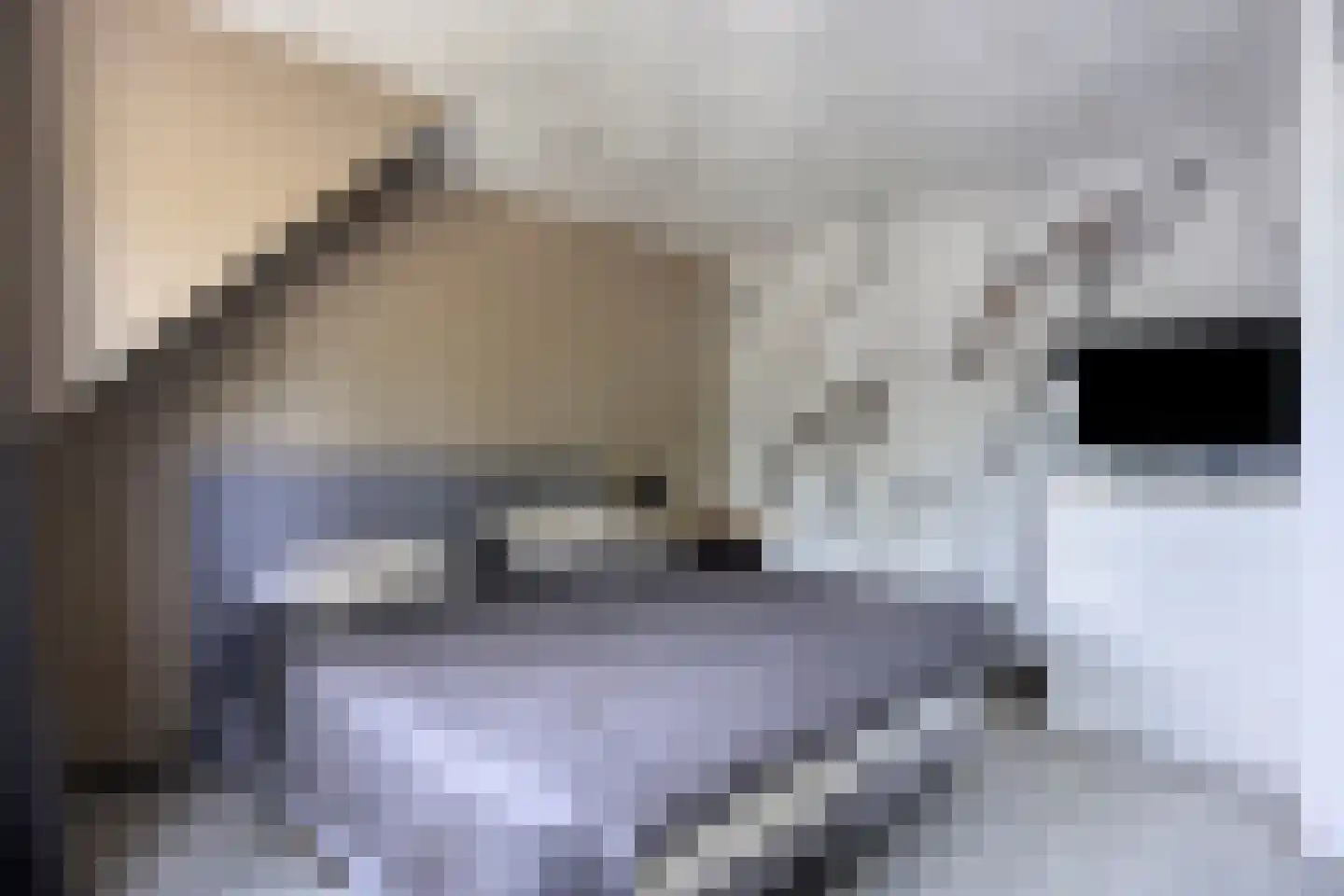 Truus Wijsmullerpad 7 Leiden thumbnail 17