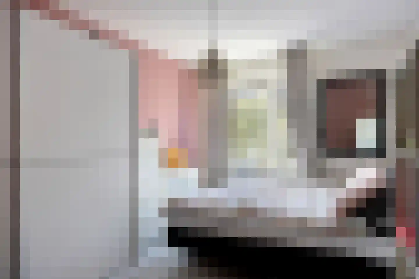 Truus Wijsmullerpad 7 Leiden thumbnail 21