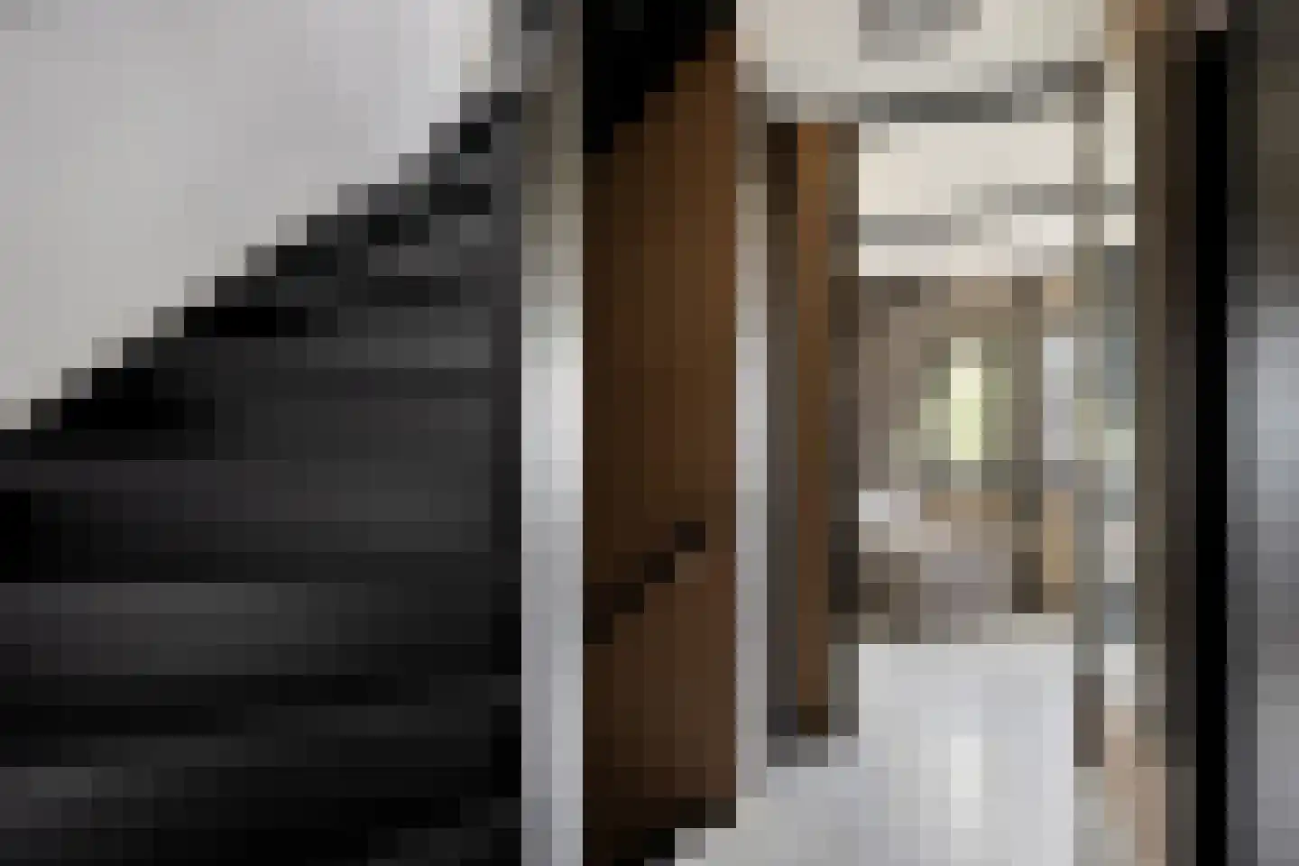 Truus Wijsmullerpad 7 Leiden thumbnail 23