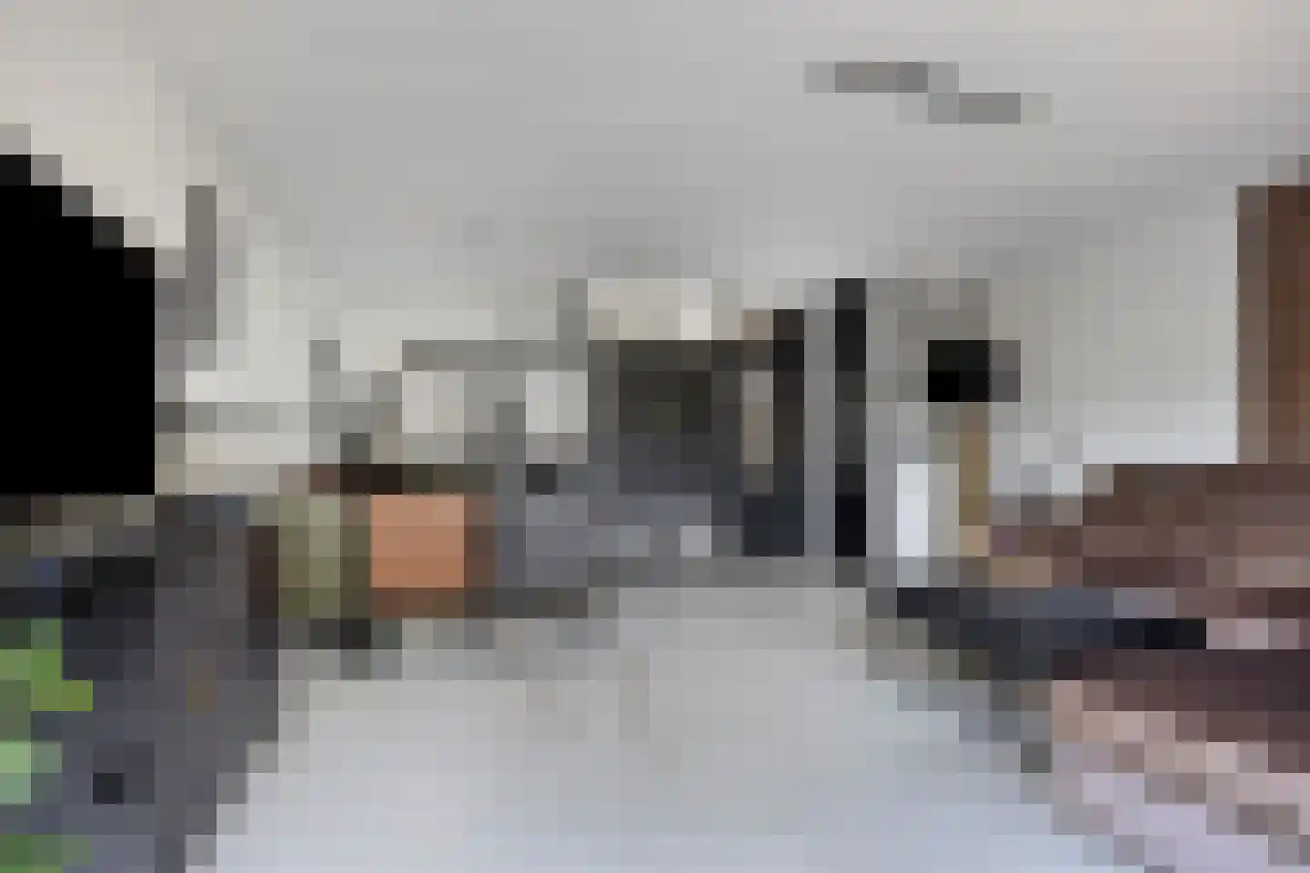 Truus Wijsmullerpad 7 Leiden thumbnail 5