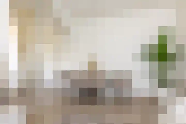 Truus Wijsmullerpad 8 Rotterdam thumbnail 12