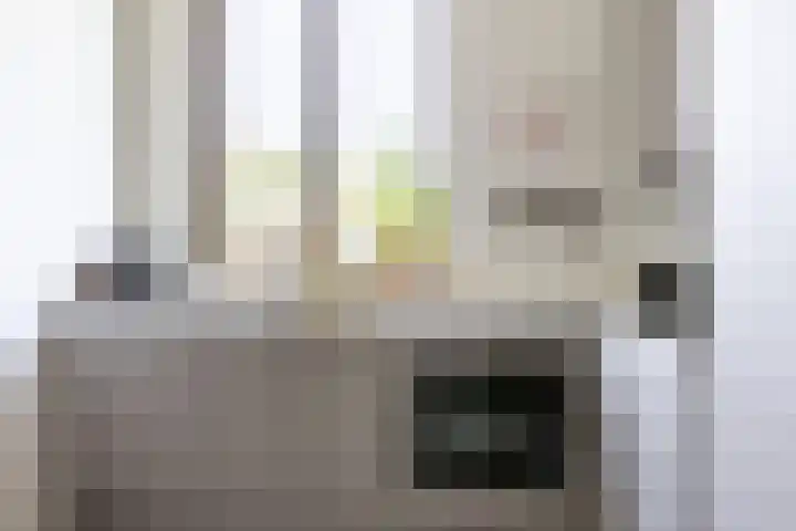 Truus Wijsmullerpad 8 Rotterdam thumbnail 15