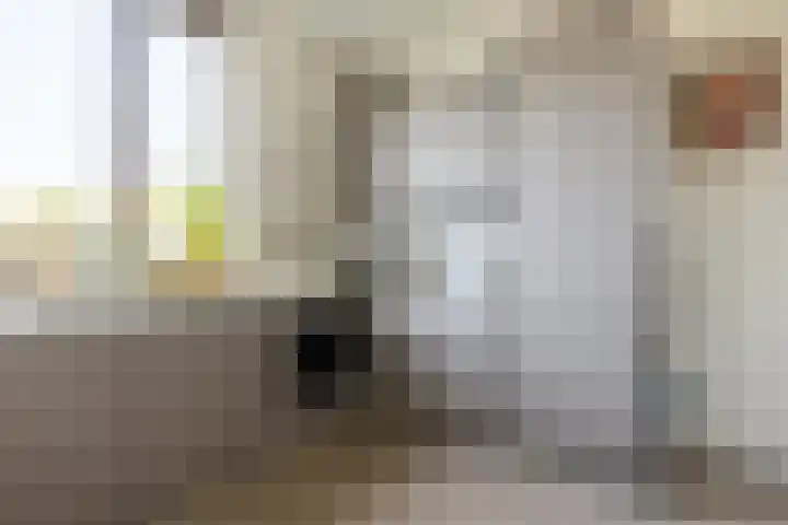 Truus Wijsmullerpad 8 Rotterdam thumbnail 16