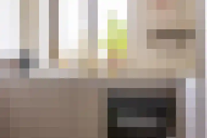 Truus Wijsmullerpad 8 Rotterdam thumbnail 17